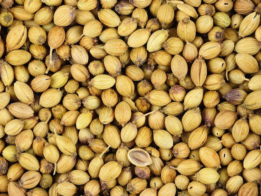 Coriander seeds