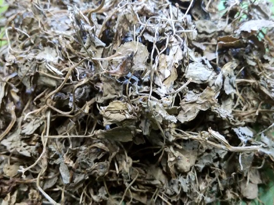 Dried fenugreek leaves
